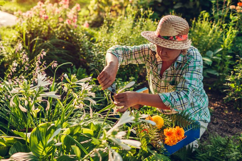Spring Garden Maintenance in Honolulu, HI